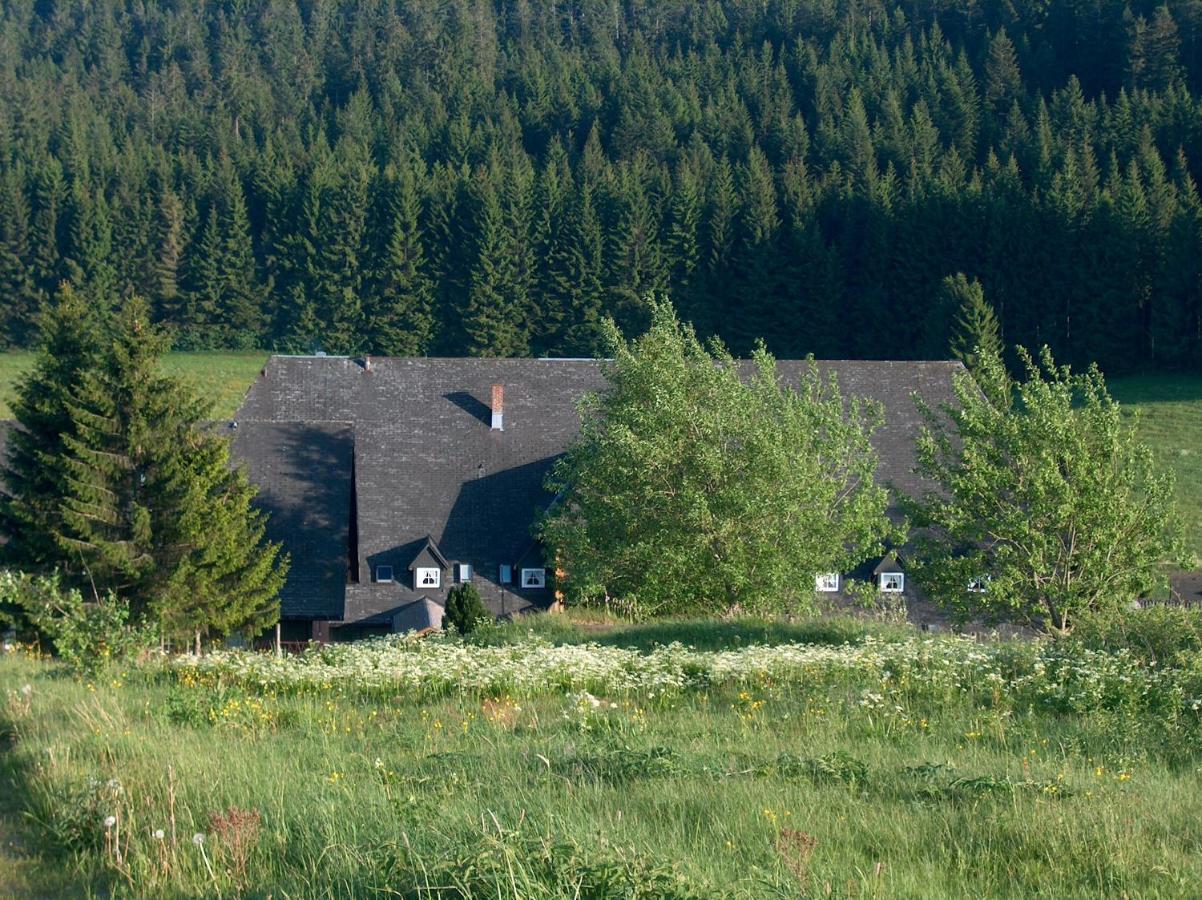 Zur Traube Schwarzwaldhotel & Restaurant Am Titisee Sankt Märgen Εξωτερικό φωτογραφία