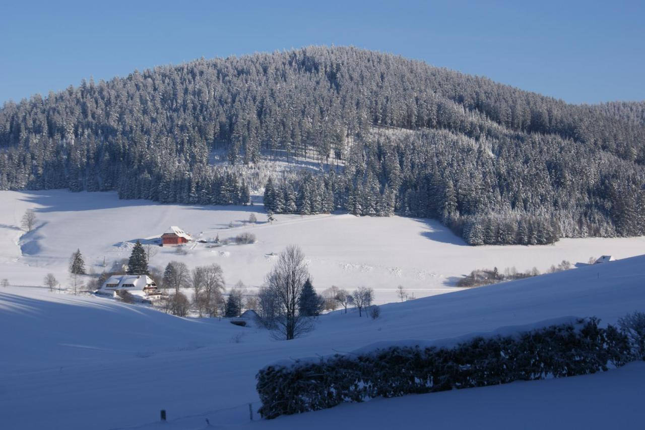 Zur Traube Schwarzwaldhotel & Restaurant Am Titisee Sankt Märgen Εξωτερικό φωτογραφία
