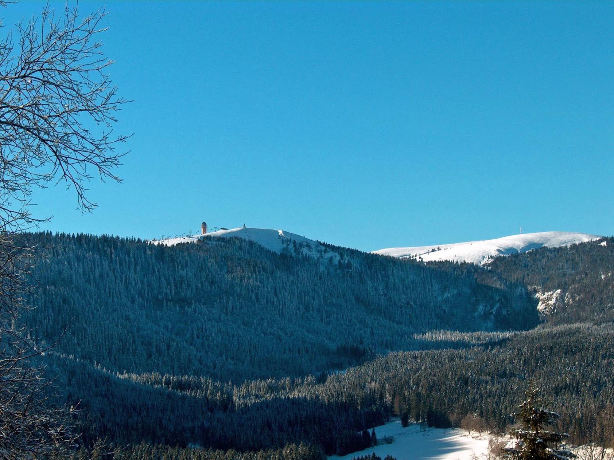 Zur Traube Schwarzwaldhotel & Restaurant Am Titisee Sankt Märgen Εξωτερικό φωτογραφία