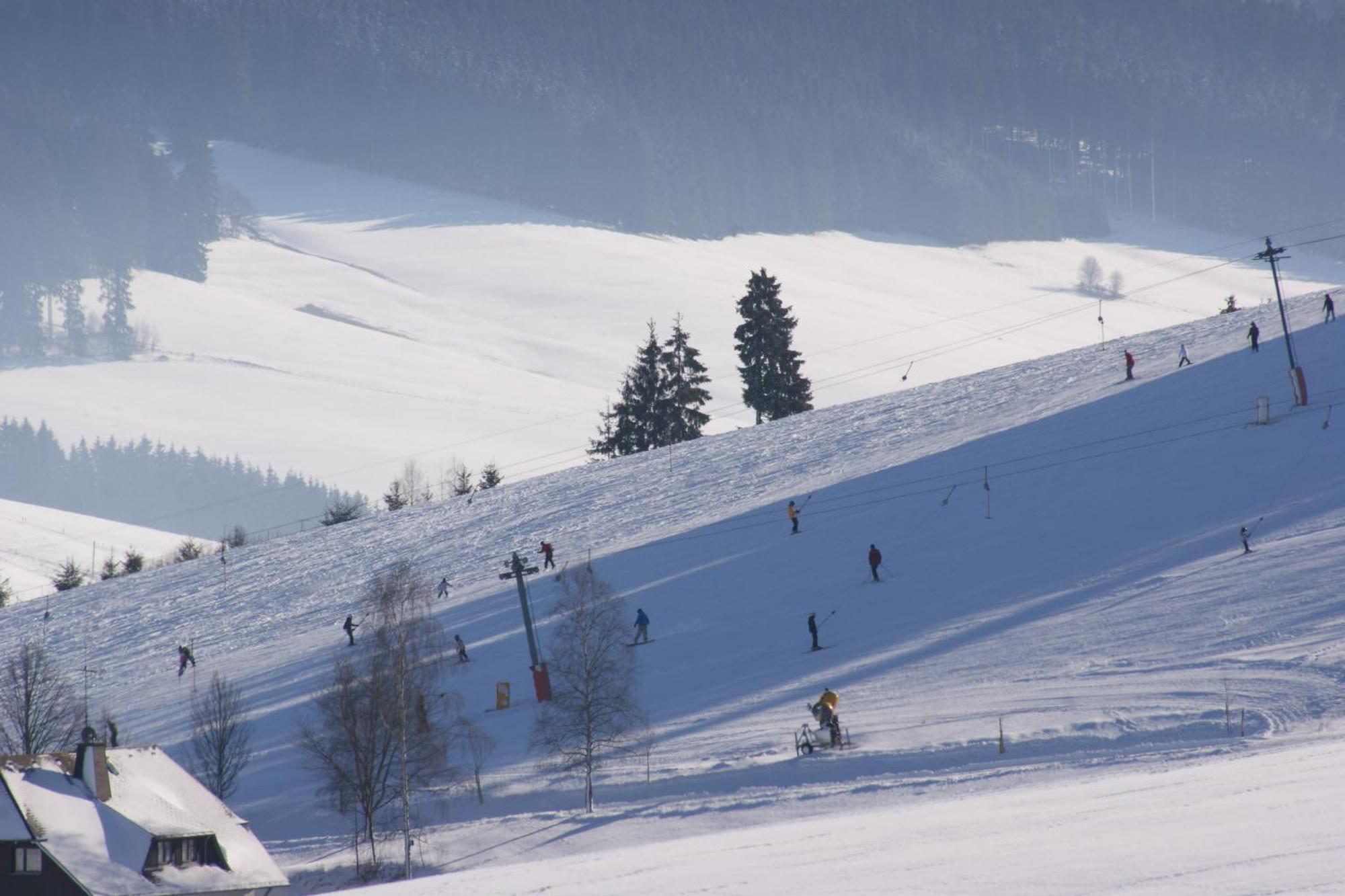 Zur Traube Schwarzwaldhotel & Restaurant Am Titisee Sankt Märgen Εξωτερικό φωτογραφία