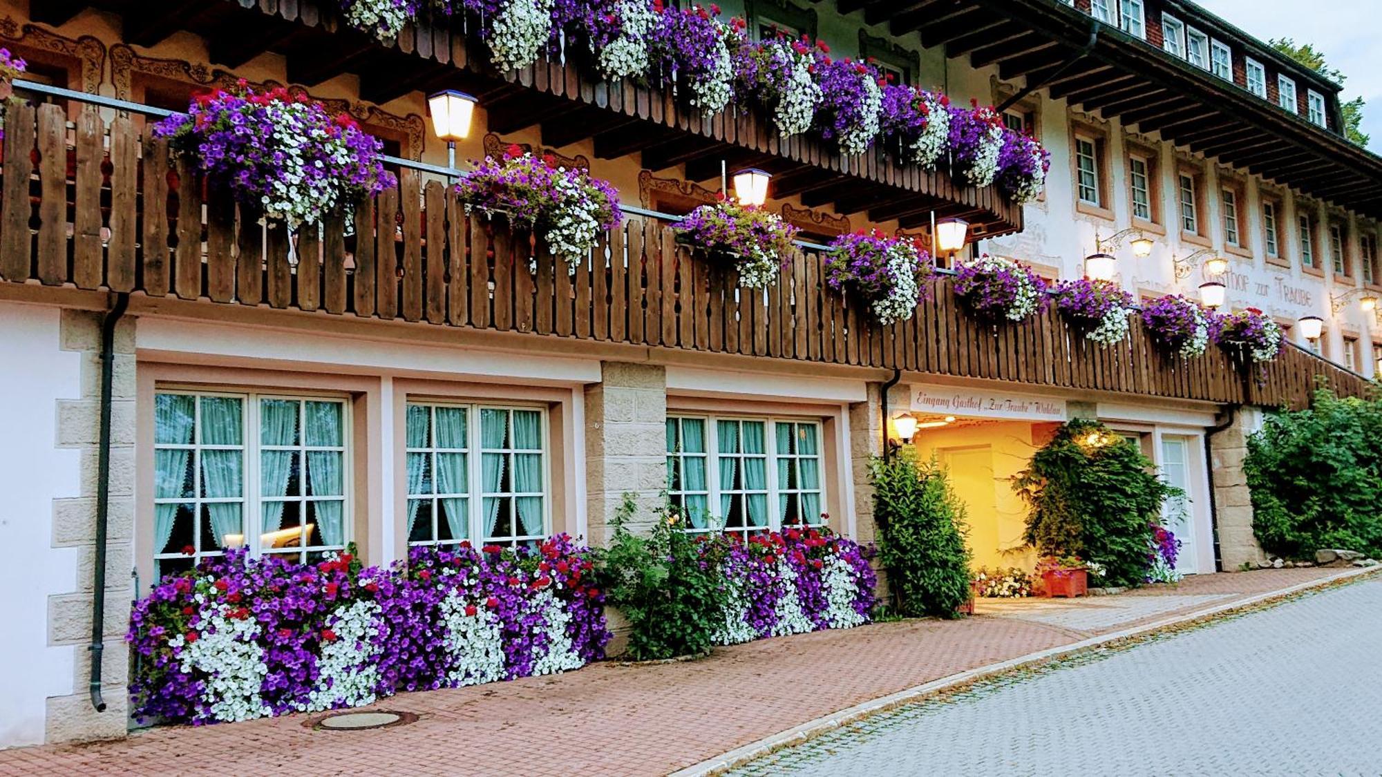 Zur Traube Schwarzwaldhotel & Restaurant Am Titisee Sankt Märgen Εξωτερικό φωτογραφία